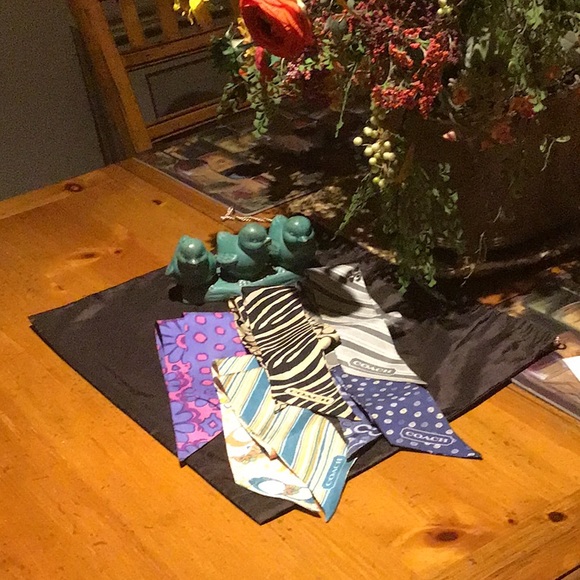 Coach Snaphead Medallion Ponytail Silk Scarf - Picture 5 of 5